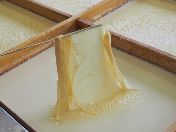 ■<ヒルナンデス!で紹介されました!>【群馬】カニ食べいこう<第2弾>これでもか!カニ尽くし食べ放題&りんご3個お土産付き&秋風に包まれる「吹割の滝」&伊香保温泉石段街を散策&とろ~りゆばすくい体験2